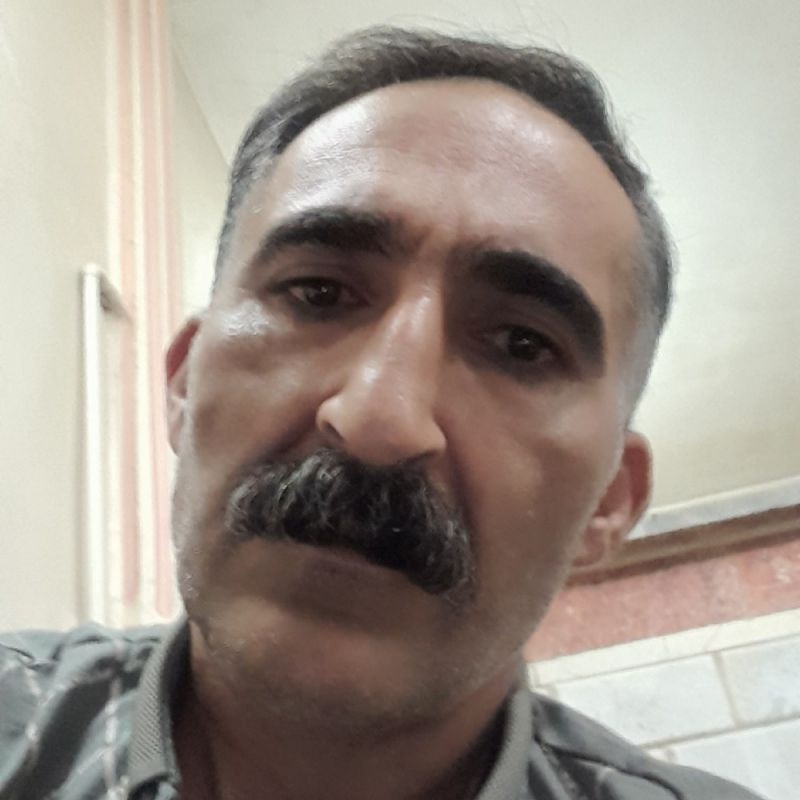 توکل سیفی