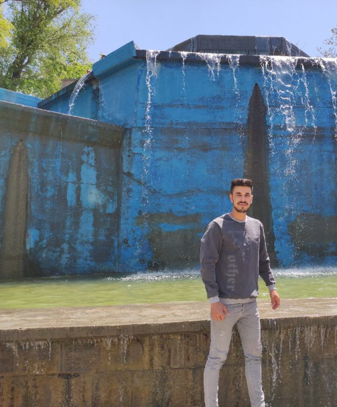 محمد انوری