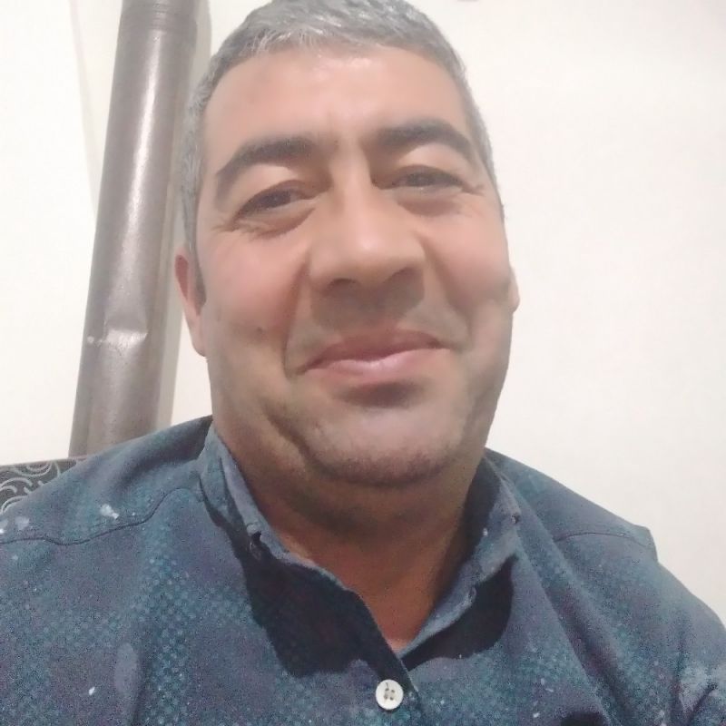 تقی داوطلب
