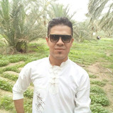 حمید سیفی