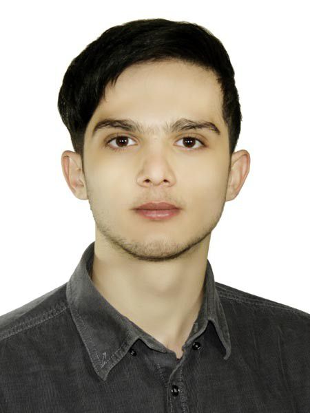 میثم هنرمند علی بلاغی