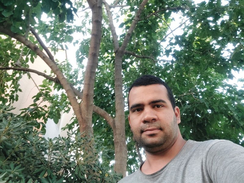 ایمان هاشمی