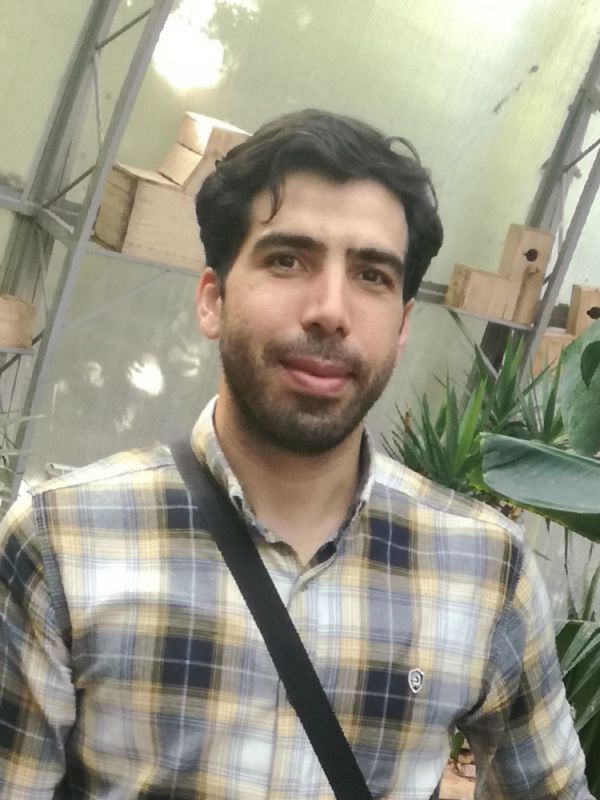 علی بیات