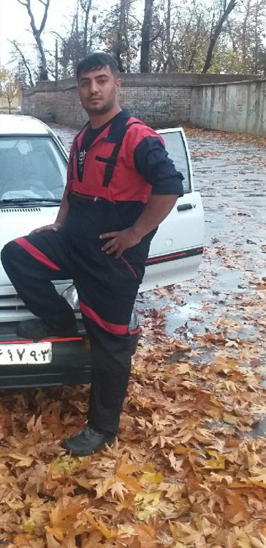 سید محمدرضا پران