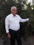 حمزه گرانمایه