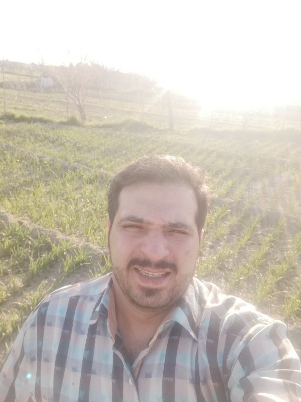 رضا یوسفی
