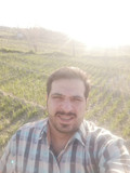 رضا یوسفی