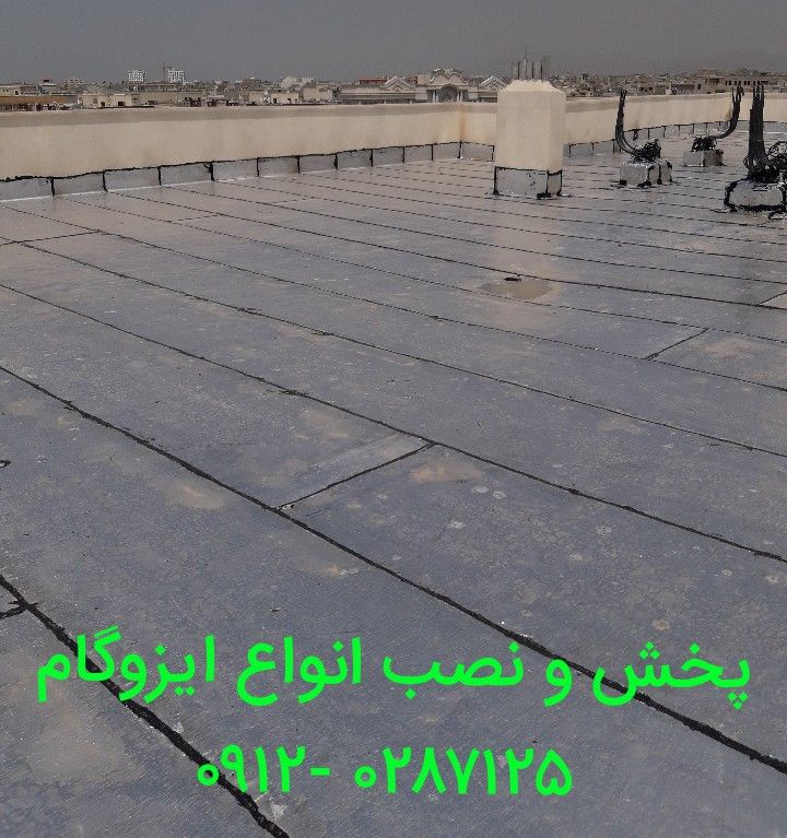 رضا مهری
