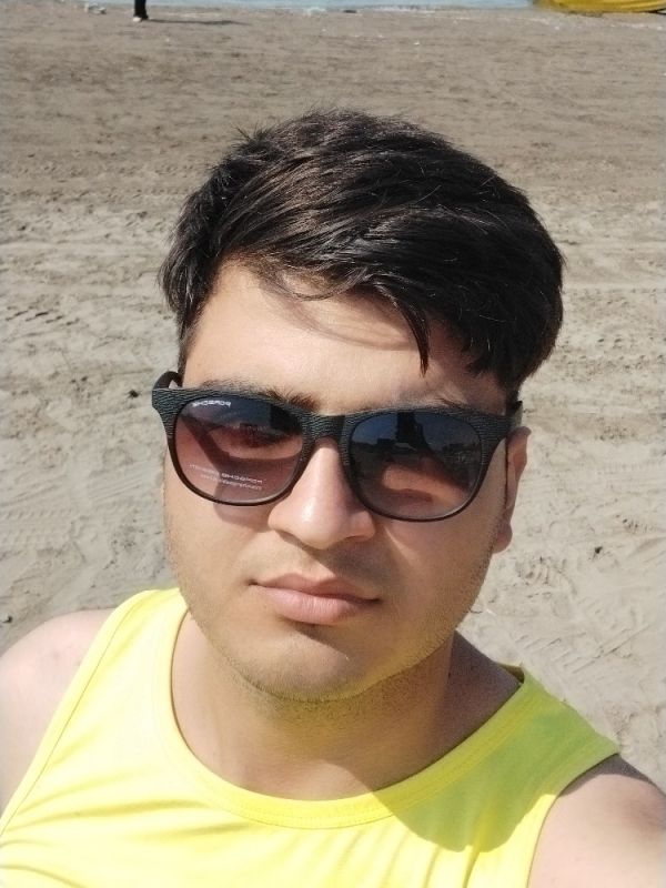 محمدرضا ویسمه