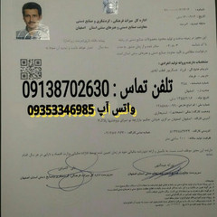 resume image
