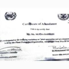 resume image