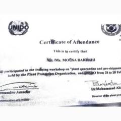 resume image
