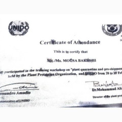 resume image