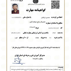 resume image