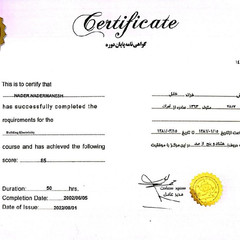 resume image