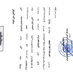 resume image