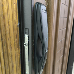 resume image