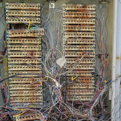 resume image