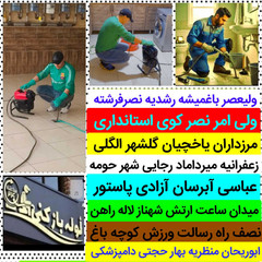 resume image