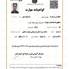 resume image