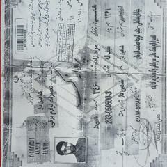 resume image