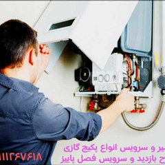resume image