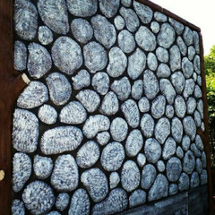 resume image