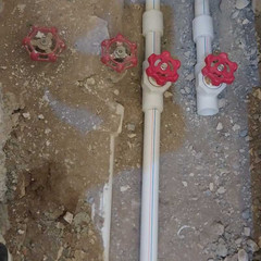 resume image