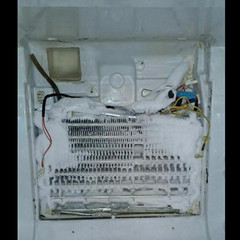 resume image
