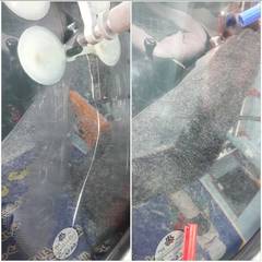 resume image