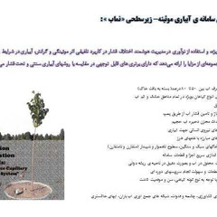 resume image