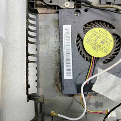 resume image