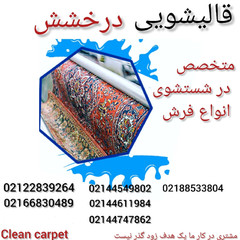 resume image