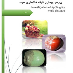 resume image