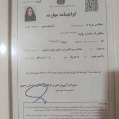 resume image