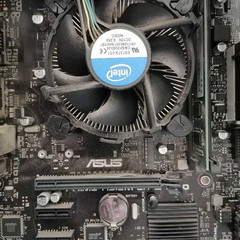 resume image