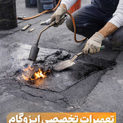 resume image