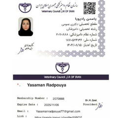 resume image