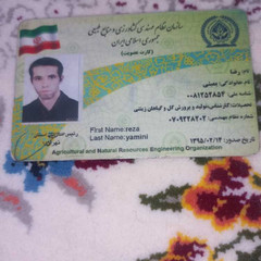 resume image