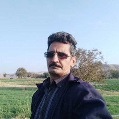 resume image