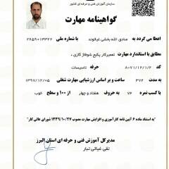 resume image