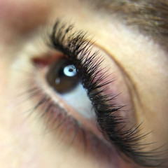 resume image