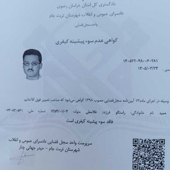 resume image
