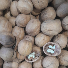 resume image