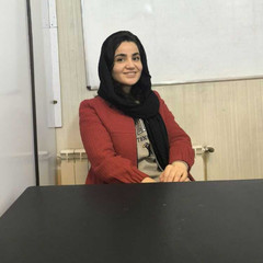 resume image