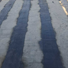 resume image
