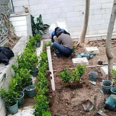 resume image