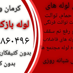 resume image