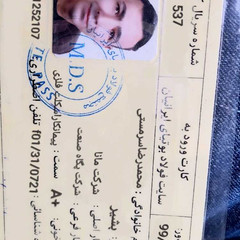 resume image