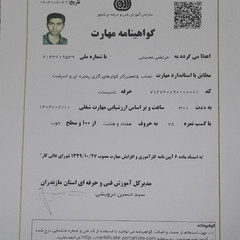resume image
